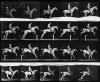 Corbis-naked man horse jumping.jpg