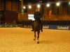 Fotos Madrid Horse Week 074.jpg