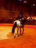 Daniela Rubio Madrid Horse Week.jpg