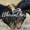 ethereal.horses